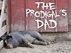 The Prodigal's Dad!